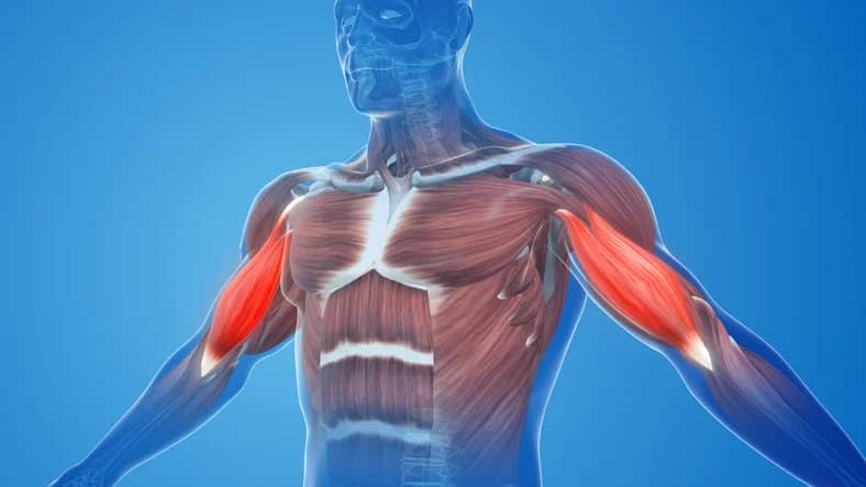 Muscle strain treatment illustration
