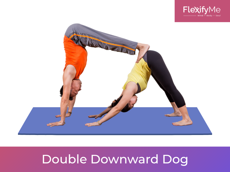Double Downward Dog