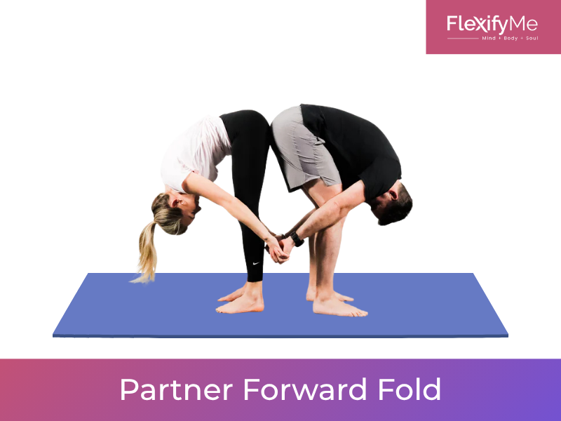 Partner Forward Fold