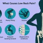 Back Pain Symptoms and Causes.png