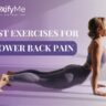 Best Exercises for low back pain