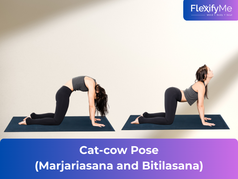 Cat-cow Pose (Marjariasana and Bitilasana)