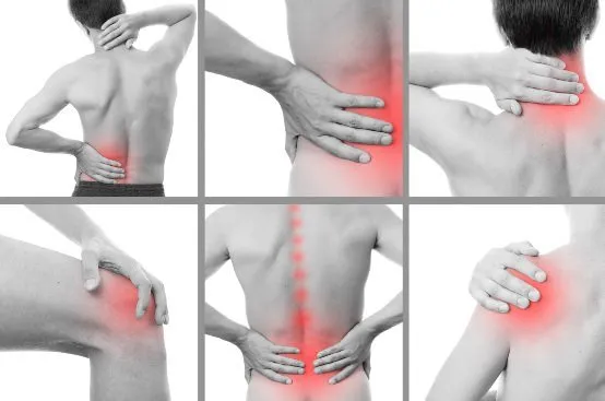Conquer Musculoskeletal Woes