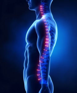 Posture spinal health