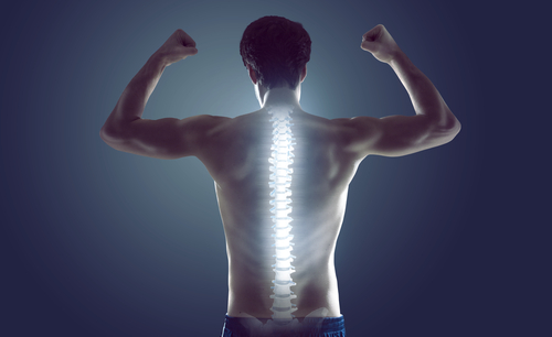 Unveiling the Secret: Posture's Impact on Spinal Health