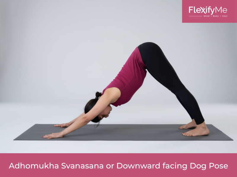 Adhomukha Svanasana or Downward facing Dog Pose