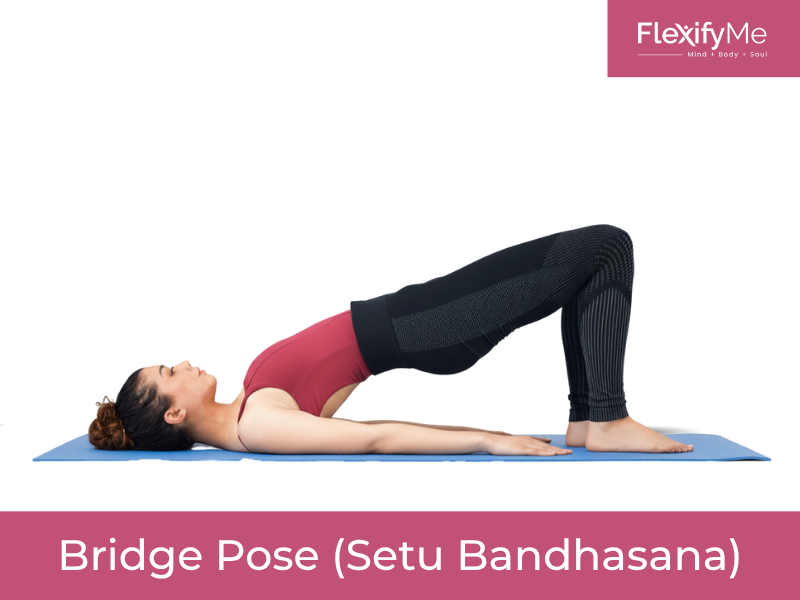 Bridge Pose (Setu Bandhasana)