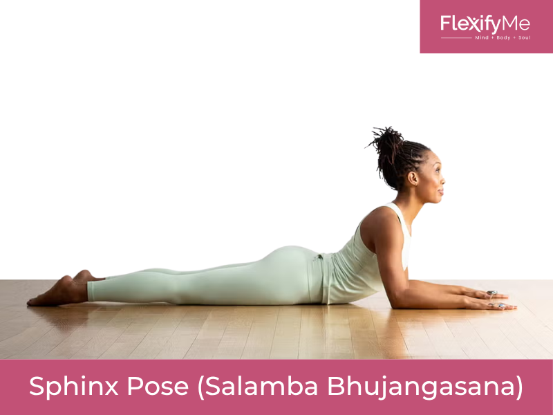Sphinx Pose (Salamba Bhujangasana)