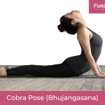 Cobra Pose (Bhujangasana)