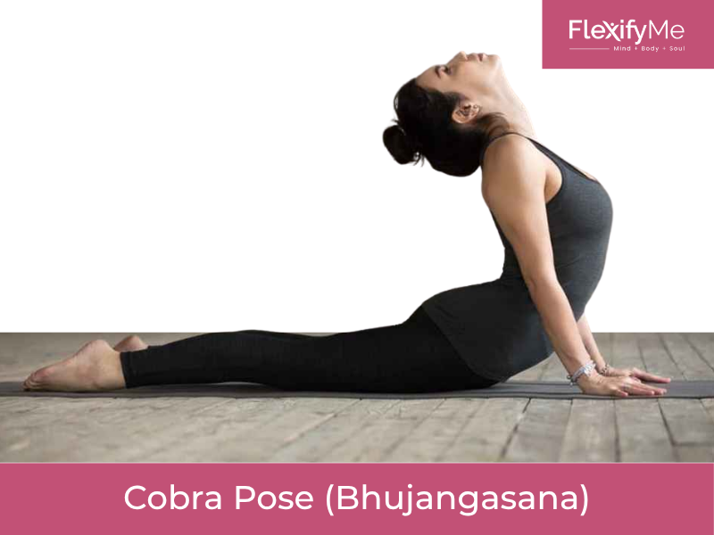 Cobra Pose (Bhujangasana)