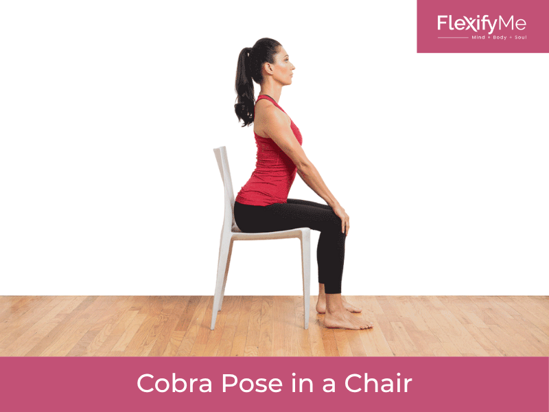 Cobra Pose in a Chair