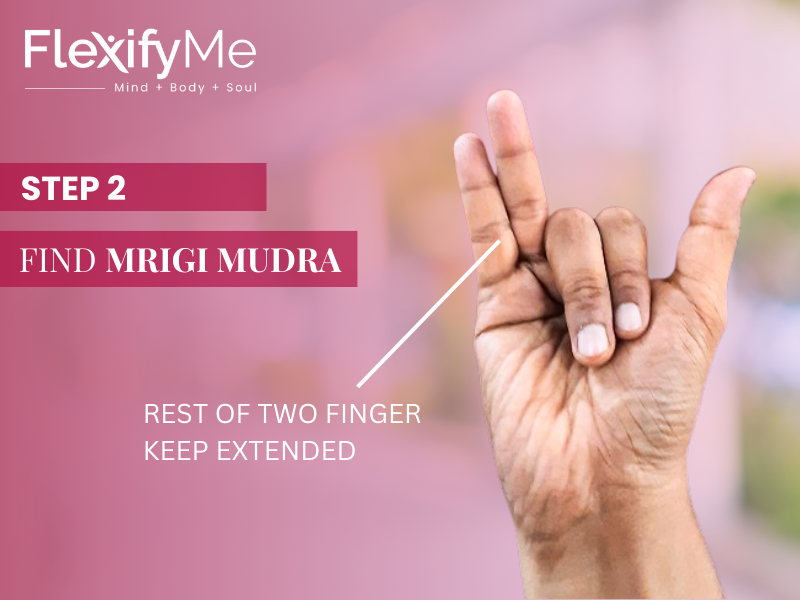 Find Mrigi Mudra