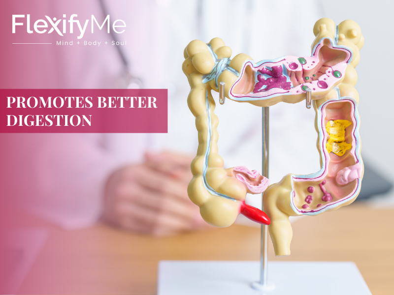 Promotes Better Digestion