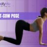 Cat-Cow Pose