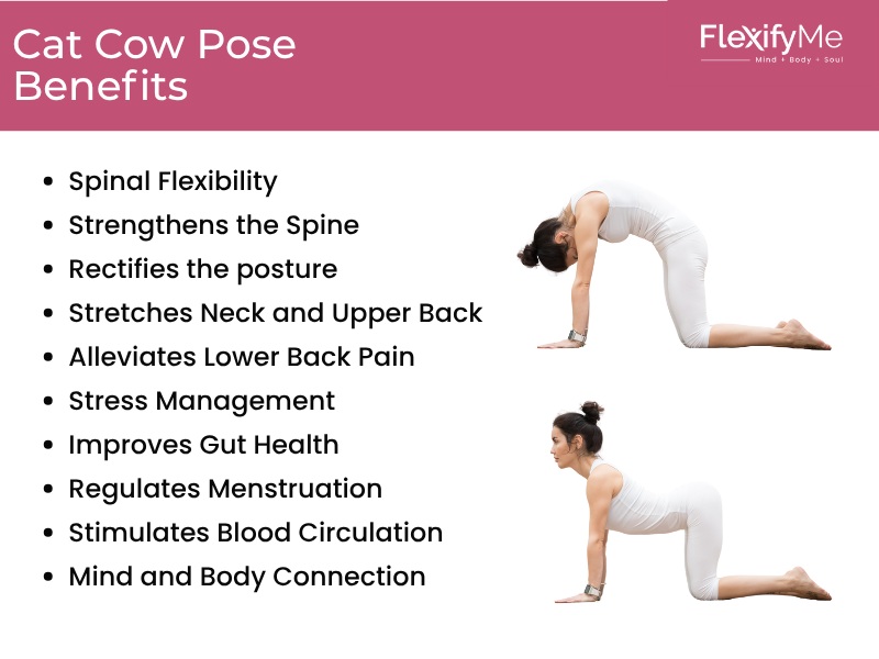 Cat Cow Pose Benefits
