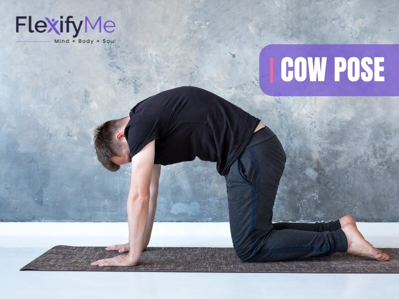 Cow pose