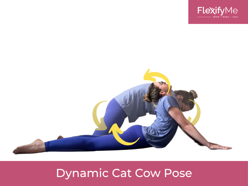 Dynamic Cat Cow Pose