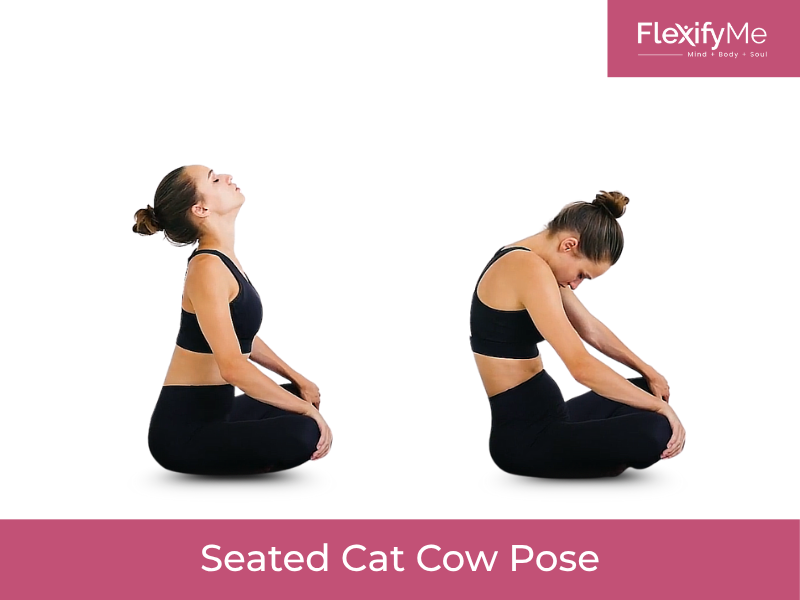 Seated Cat Cow Pose