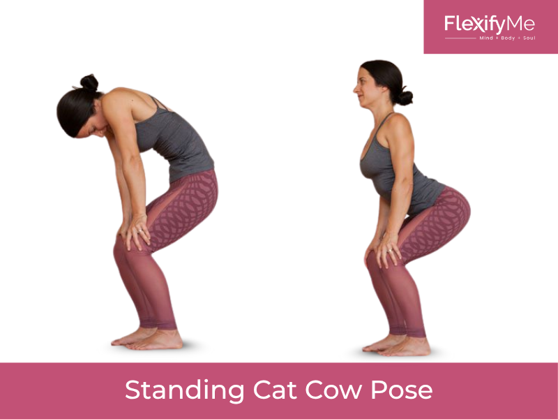 Standing Cat Cow Pose