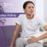 Anterior Pelvic