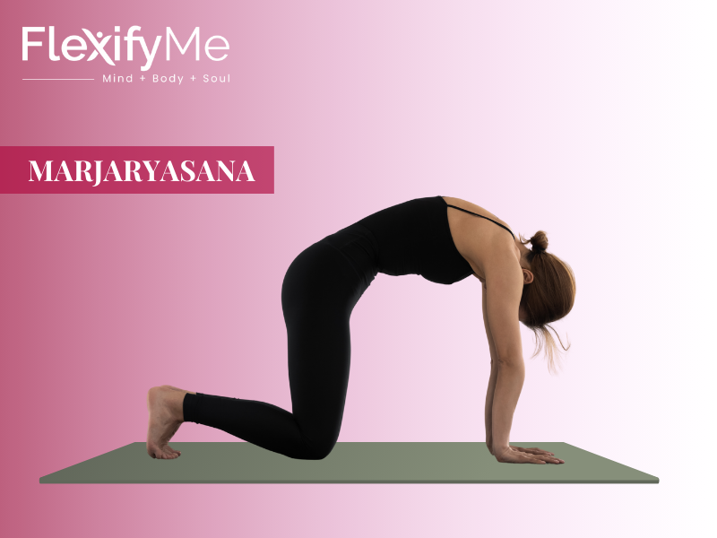 Marjaryasana