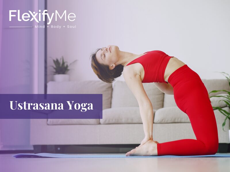 Ustrasana Yoga