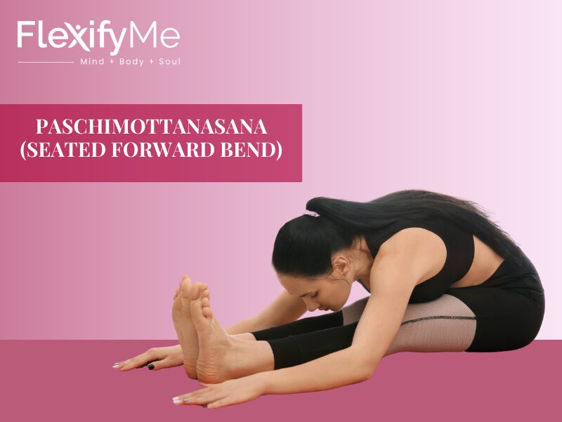 Seated Forward Bend (Paschimottanasana)