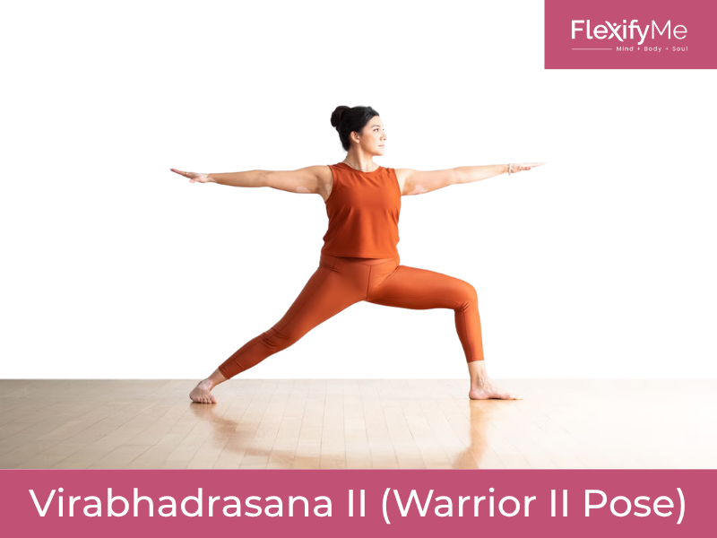Virabhadrasana II (Warrior II Pose)
