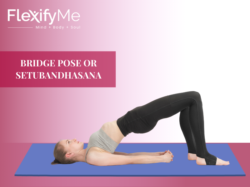 Bridge-Pose-or-Setubandhasana