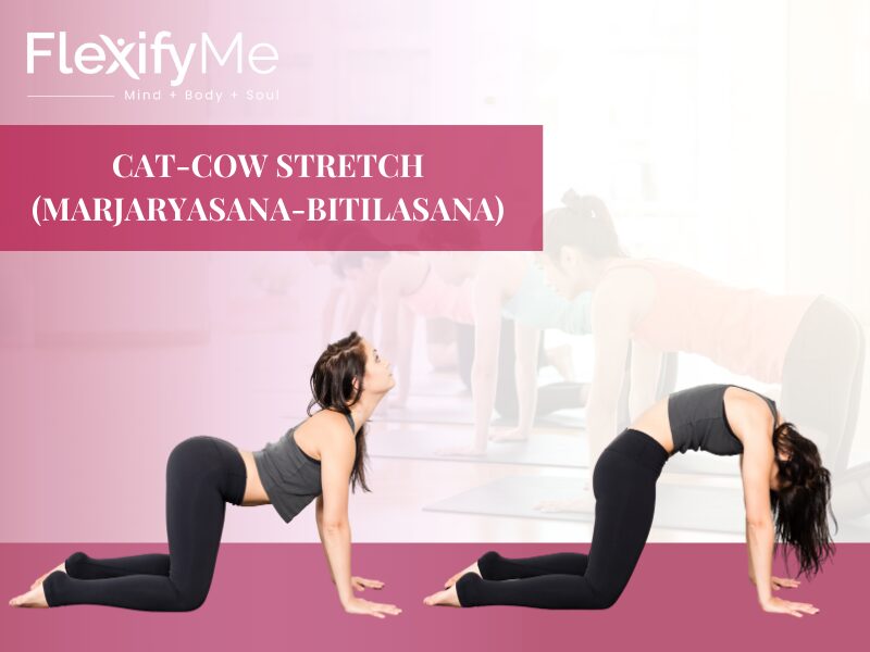 Cat-Cow Stretch (Marjaryasana-Bitilasana)