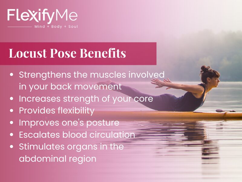 Locust Pose Benefits