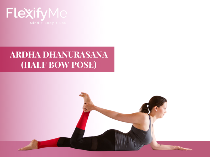 Ardha Dhanurasana (Half Bow Pose)