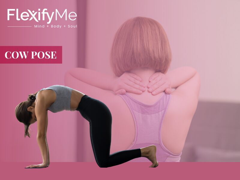 Cow Pose