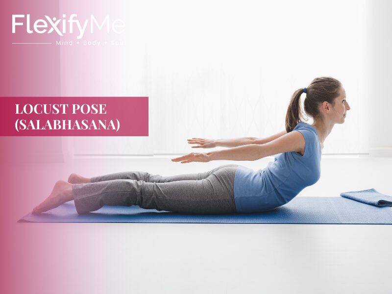 Locust Pose (Salabhasana)