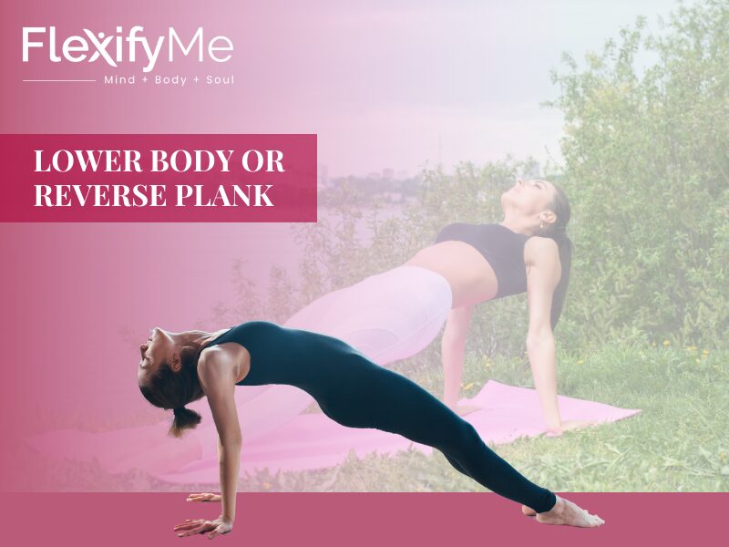 Lower Body or Reverse Plank