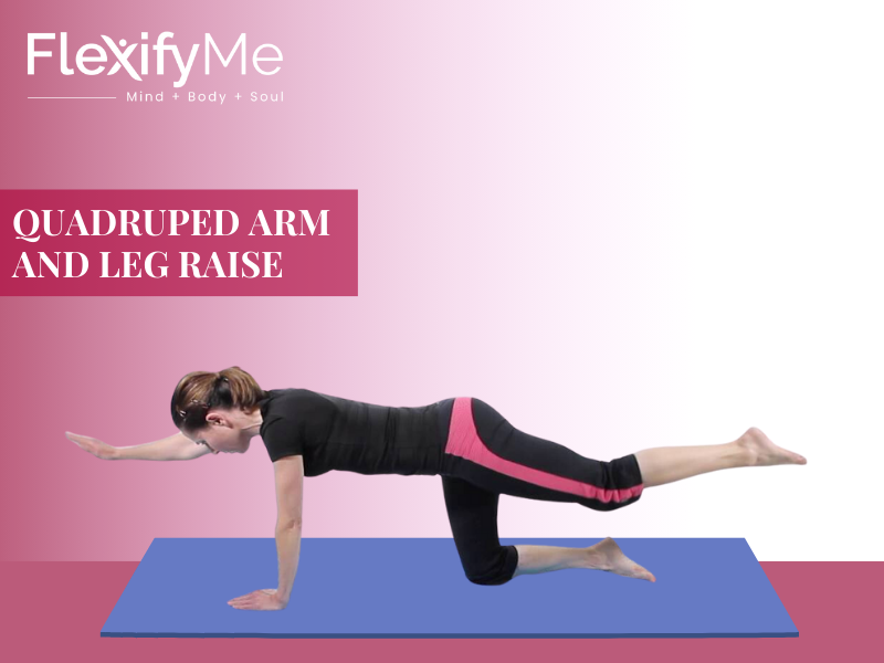 Quadruped Arm and Leg Raise 