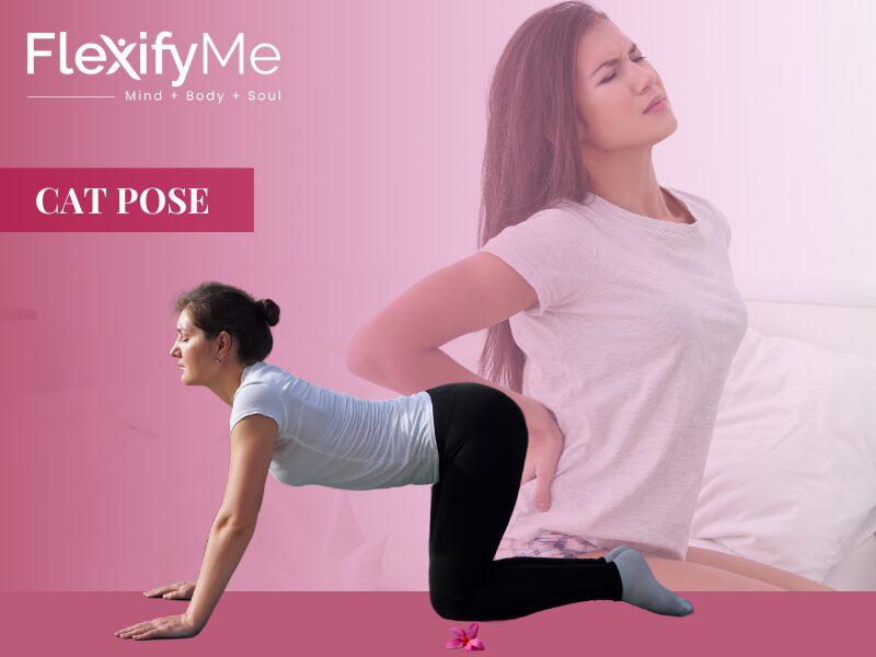 cat Pose