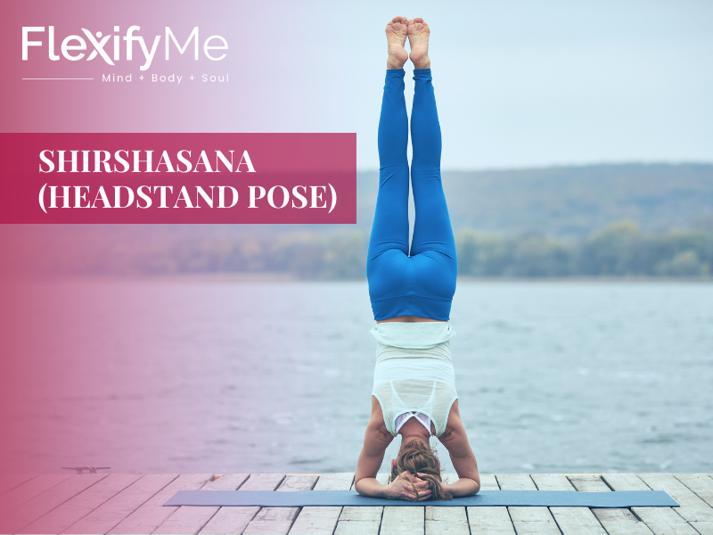Shirshasana (Headstand Pose)
