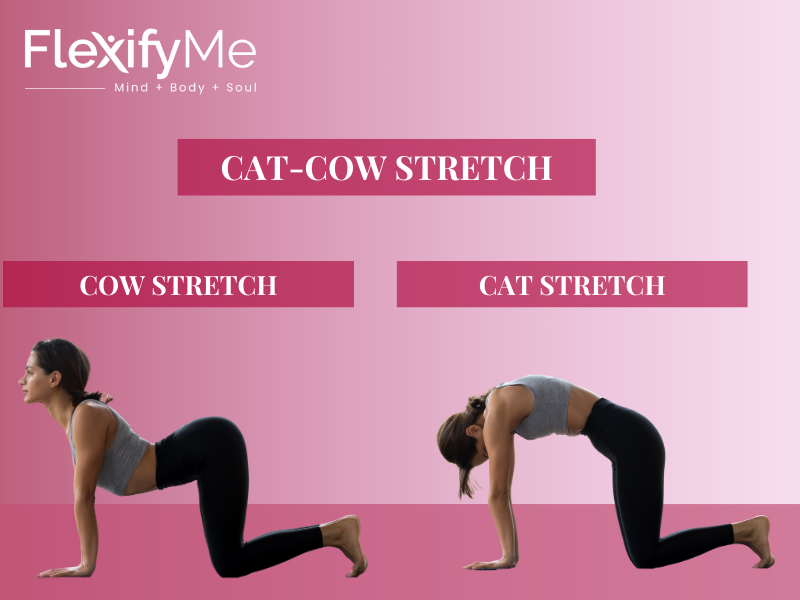 Cat-cow stretch