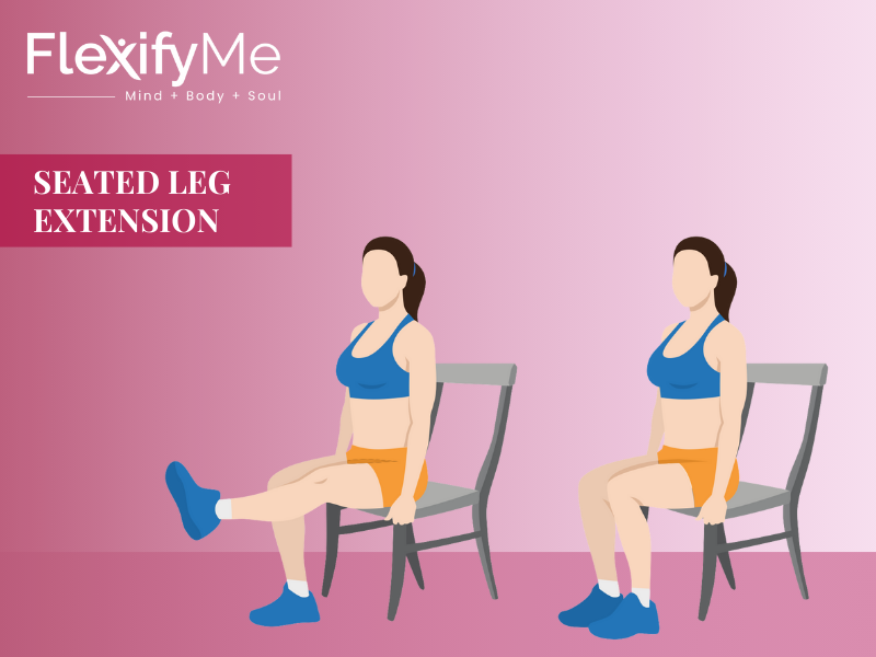Seated Leg Extension
