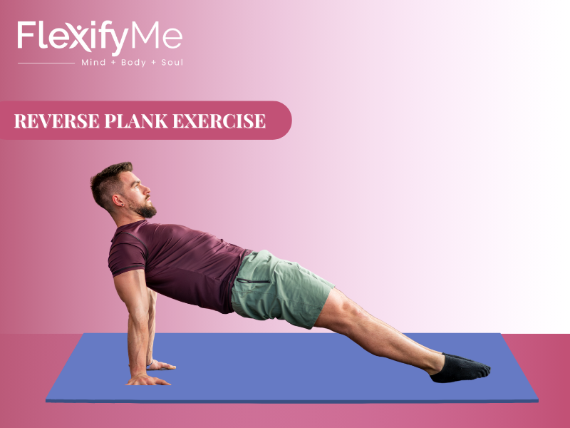 Reverse Plank Exercise