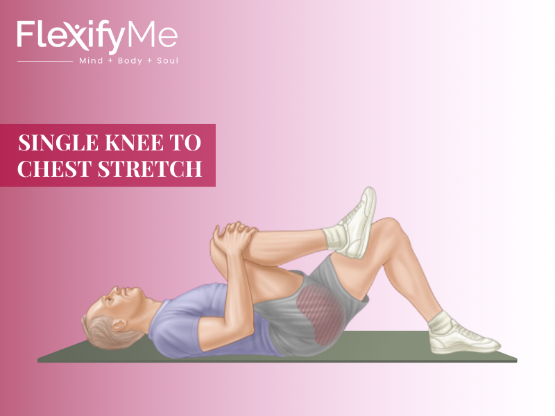 Single Knee to Chest Stretch