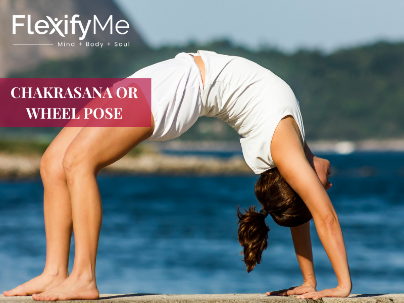 Chakrasana or Wheel Pose