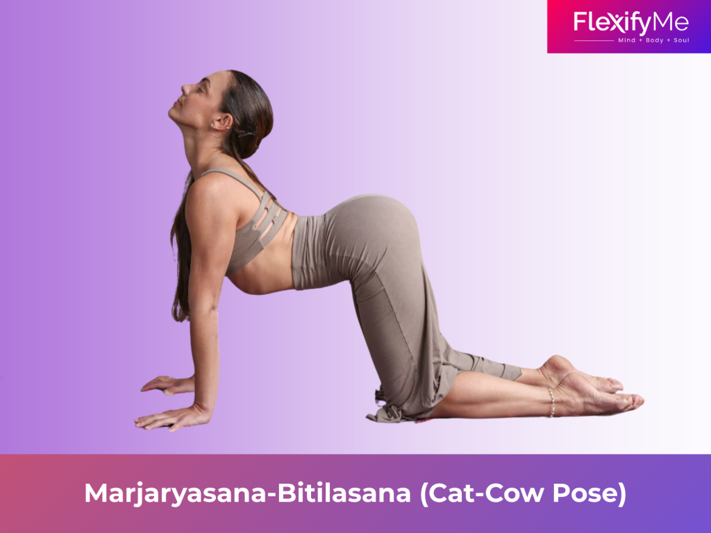 Marjaryasana-Bitilasana (Cat-Cow Pose)
