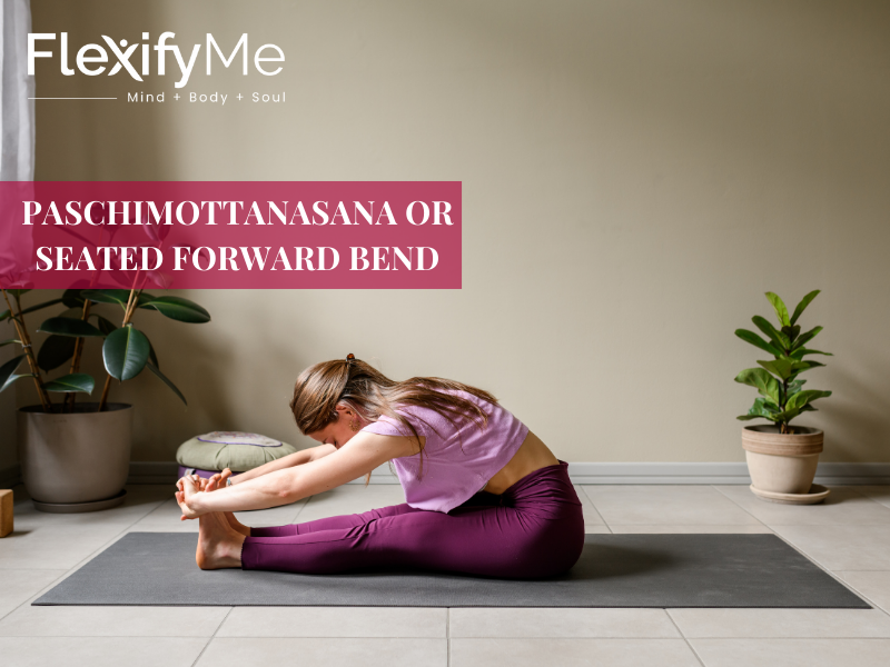 Paschimottanasana or Seated Forward Bend