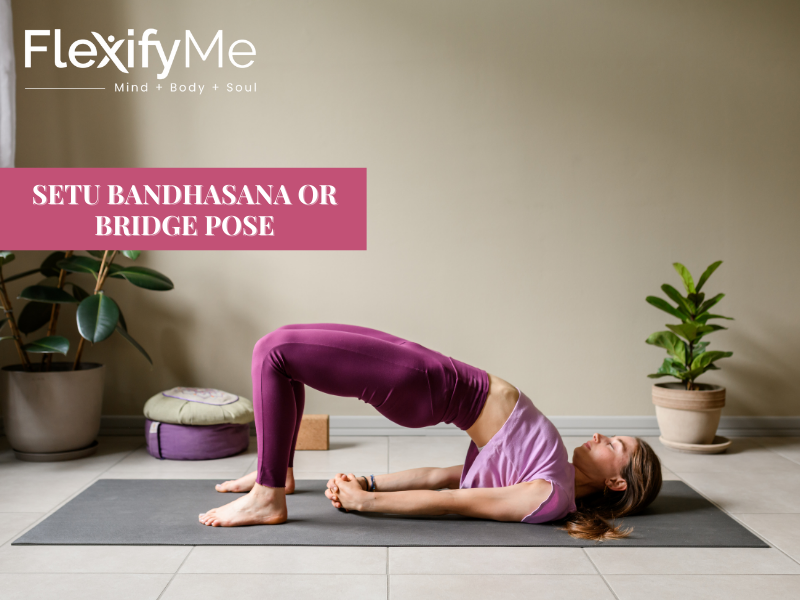 Setu Bandhasana or Bridge Pose