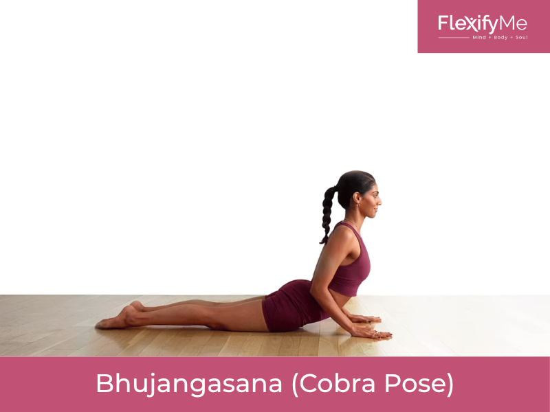 Bhujangasana (Cobra Pose)