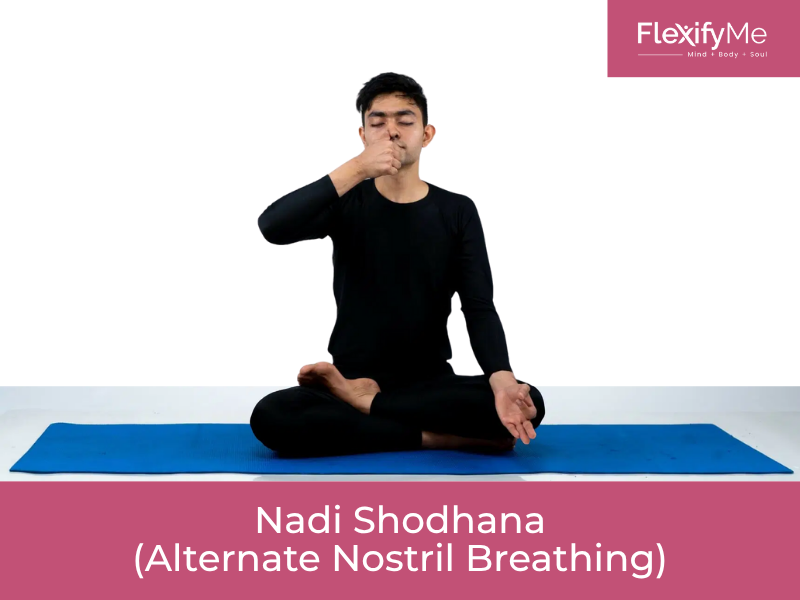 Nadi Shodhana (Alternate Nostril Breathing)