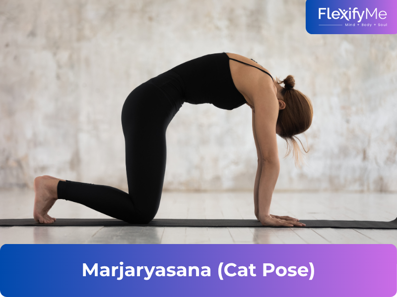 Marjaryasana (Cat Pose)