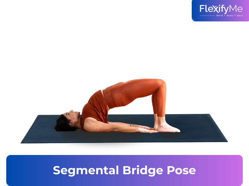 Segmental Bridge